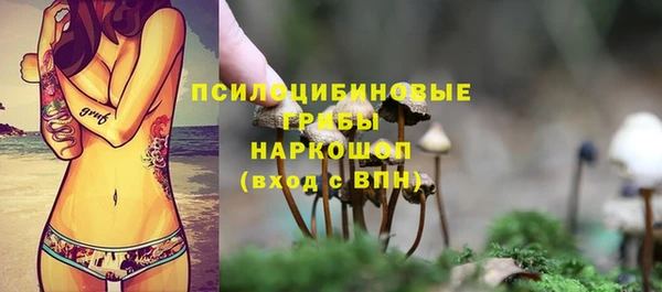 спиды Белокуриха