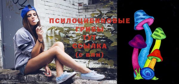 спиды Белокуриха