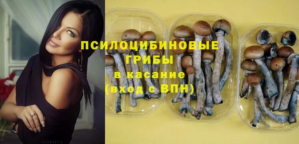 спиды Белокуриха